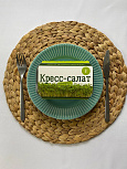 Набор для выращивания микрозелени M Кресс-салат